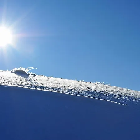 Muehle - Including Wellness Area, Sauna, Whirlpool Капрун