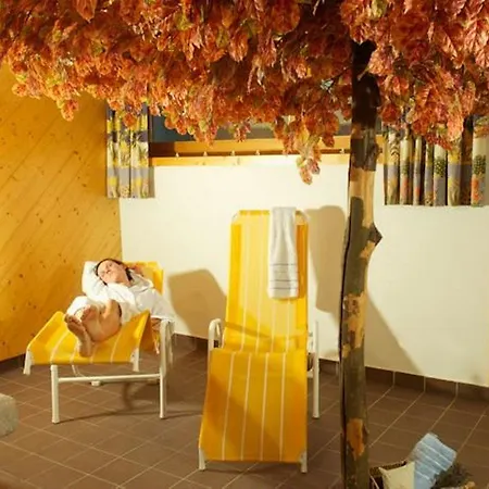 Muehle - Including Wellness Area, Sauna, Whirlpool