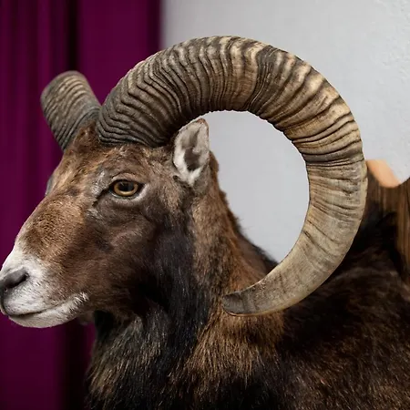 Апартаменти Muehle - Including Wellness Area, Sauna, Whirlpool