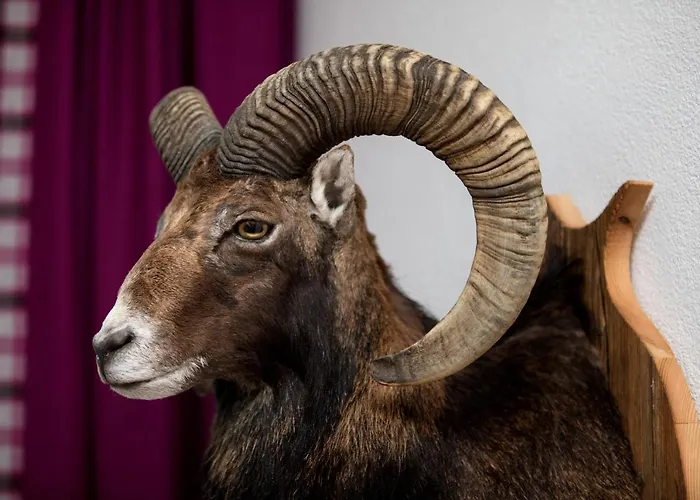 Lejlighed Muehle - Including Wellness Area, Sauna, Whirlpool